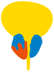 Centrum pro nádory prostaty